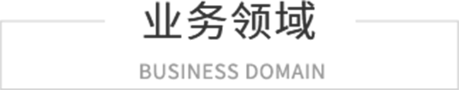 业务领域