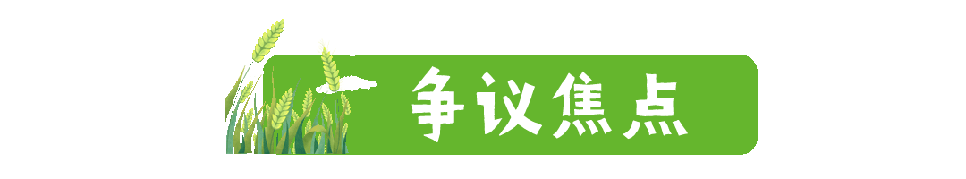 反光金带子标题动态分割线分隔符 (3).gif